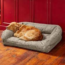 Indestructible Dog Beds For Chewers