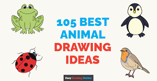 Cute Easy Animal Drawing Tutorials