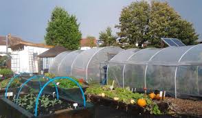 Greenhouse Or Polytunnel Gardening
