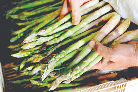 Learn how to cook asparagus and tips for preparing and storing asparagus. How To Cook Asparagus