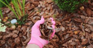 How To Avoid Bug Infestations In Mulch