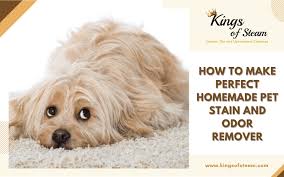 pet stain and odor removal