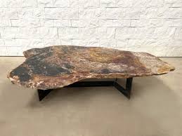 Natural Petrified Wood Coffee Table