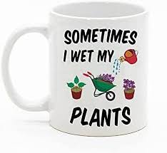 Funny Coffee Mug Plant Gifts