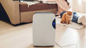 Лучшие ионизаторы воздуха для квартиры