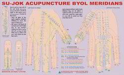 Acupuncture Sujok Charts