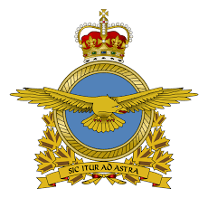 They are free and it's known for some codes that they only work in vip servers!!! Royal Canadian Air Force Wikipedia