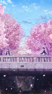 anime couple cherry blossom scenery 4k