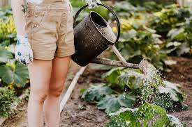 Gardening Mistakes To Avoid The