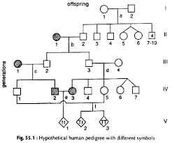 Pedigree Analysis Meaning And Its Problem Zoology