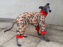 Evidence of dogs resembling the italian. Italian Greyhound Sweat Pajamas Majstyle