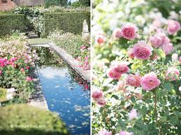 No need to register, buy now! New Photos Of The David Austin Rose Garden In England
