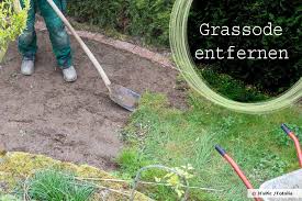Das gras ist sehr kurz, der boden aber extrem trocken. Rasen Entfernen 7 Wege Um Die Alte Grassode Abzutragen