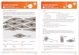 Hill, beaver educational resources 2000. Cell Explorer Independent Learning 2 How Are Cells Organised In A Plant For Ks3 Science Teachwire Teaching Resource
