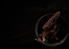what ancient maize can tell us about