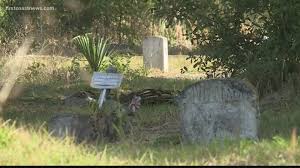 cemetery mix up leaves st augustine