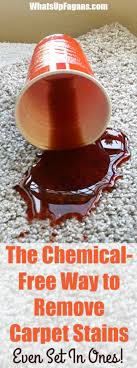 To remove the kool aid stain: The Surprisingly Easy Chemical Free Way To Remove Carpet Stains