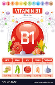 Thiamine Vitamin B1 Food Icons Healthy Eating