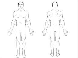The anatomical position also referred to as the standard anatomical position, is the consistent position of the human body in which positional reference is made for anatomical nomenclature. 9 Free Body Diagram Free Printable Download Body Template Human Body Diagram Body Diagram