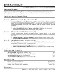Nursing Resume Summary Mytv Pw
