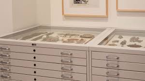 museum flat files southwest solutions