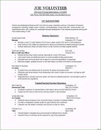 Excellent Teenager First Resume Template For Your Job