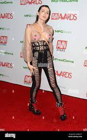 January 25, 2020, Las Vegas, NV, USA: LAS VEGAS - JAN 12: Korra Del Rio at  the 2020 AVN (Adult Video News) Awards at the Hard Rock Hotel & Casino on  January