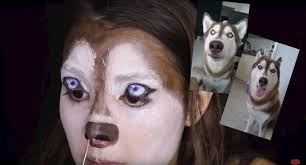 dog makeup tutorial by ilana makeup