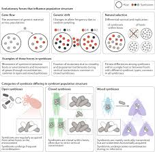genetic innovations in microbe