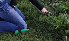 10 best gardening knee pads for