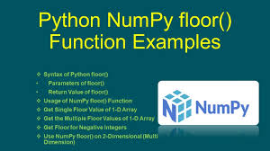 python numpy floor function exles