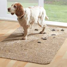 easylife superior dirt trapper mat dog