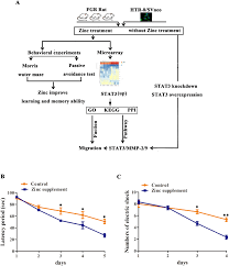 Flow Chart Of Effects And Molecular Mechanism Of Zinc On