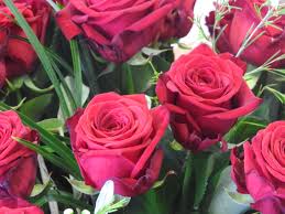 The flowers, which are named after the greek word for beauty, come in a variety of colors. Meaning Of Flowers For Valentines Day Sending Roses In Wexford Lily Bloom Florist