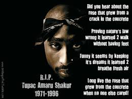 He is also known by his stage names which are 2pac, makaveli, and tupac. Tupac Quotes Feeding You Quotesgram