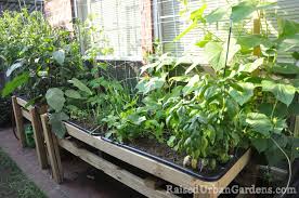 growing vegetables in small spaces