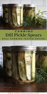 dill pickle spears