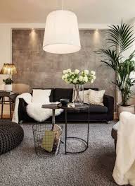 chic living room interior design