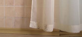 how to get rid of mould on curtains
