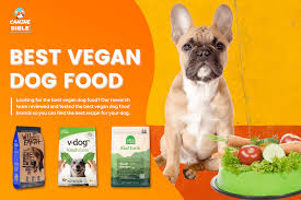 best vegan dog food reviews top brands