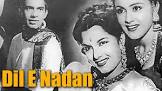  Shyam Kumar Dil-E-Nadan Movie