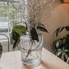 29 Clear Glass Vases You Ve Got To See