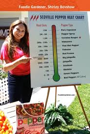 Scoville Heat Rating Chart For Hot Peppers The Foodie