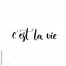 c est la vie french phrase means that