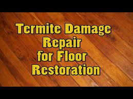 termite damage repair for floor