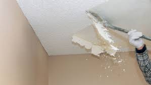 popcorn ceiling removal in inver grove