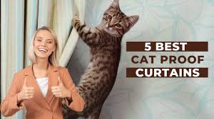 cat proof curtains
