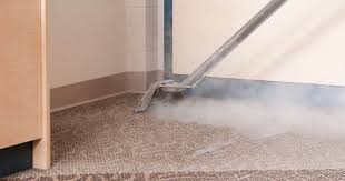 the best carpet cleaning methods for