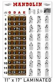 Details About Laminated Mandolin Chord Fretboard Chart Poster Notes Beginner Chords