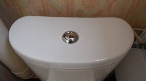 Image result for push button toilet flush